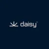 Daisy North Phoenix logo